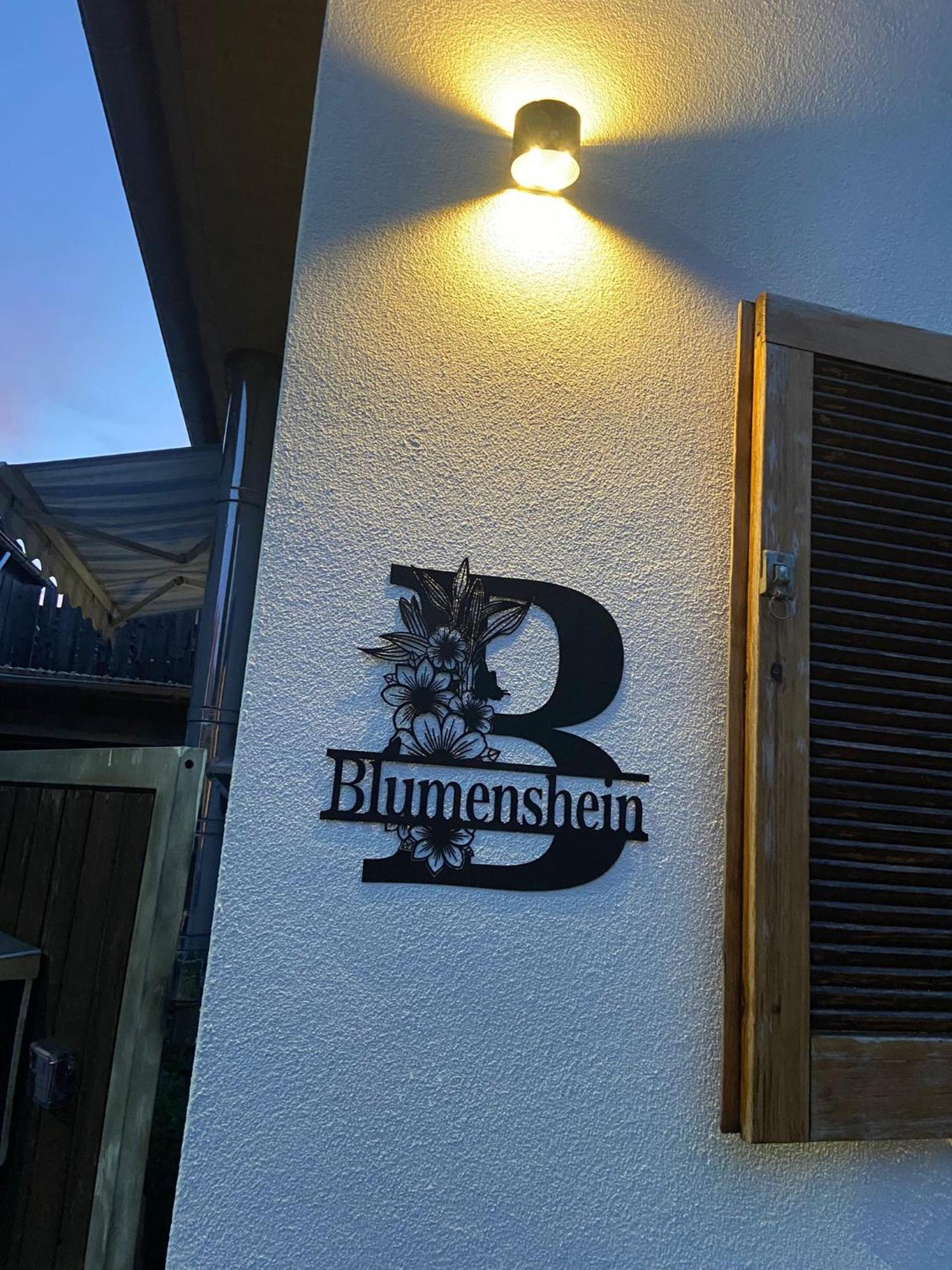 Ferienwohnung Blumenshein Bei Speyer Karlsruhe Familienfreundlich 5 Pers Zeiskam Exteriör bild