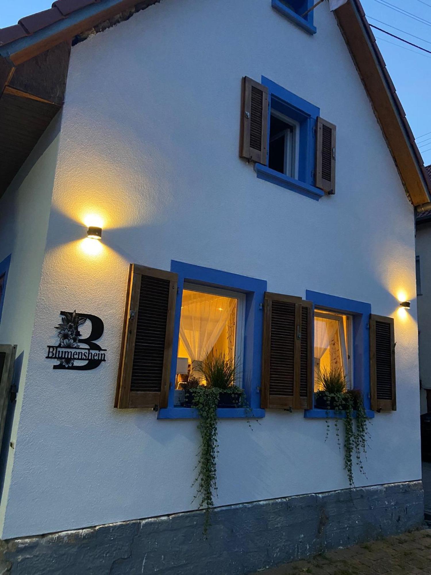 Ferienwohnung Blumenshein Bei Speyer Karlsruhe Familienfreundlich 5 Pers Zeiskam Exteriör bild